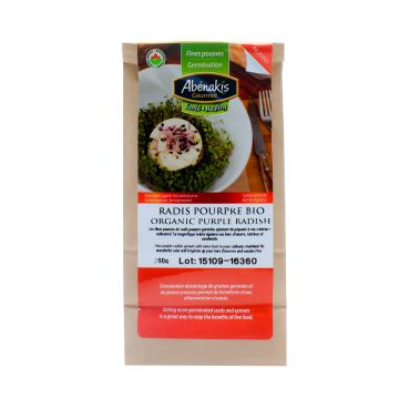 Germination Seeds – Organic Purple Radish