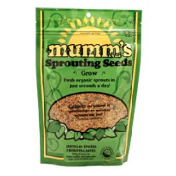 Mélange Lentilles épicées BIO à germer