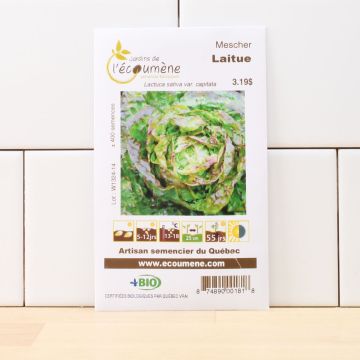 Laitues biologiques  - Laitue mescher  