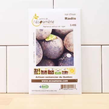 Radis biologiques - Radis noir d'hiver  