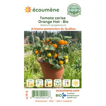Semences biologiques - Tomate cerise orange hat  