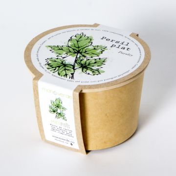 Minipot - Persil plat pot compostable