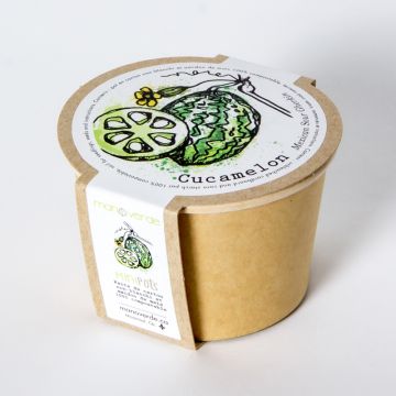 Minipot - Cucamelon pot compostable