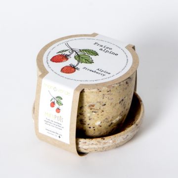 Minipot - Fraise mignonette pot fibres café