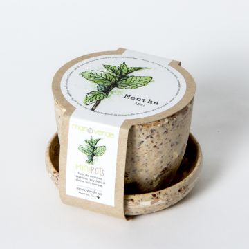 Minipot - Menthe bio fibres café