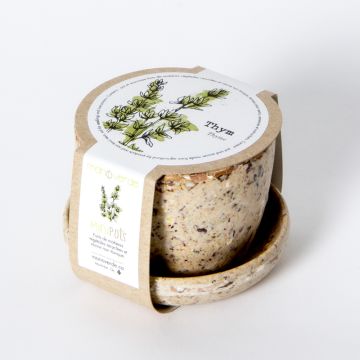 Minipot - Thym pot fibres café