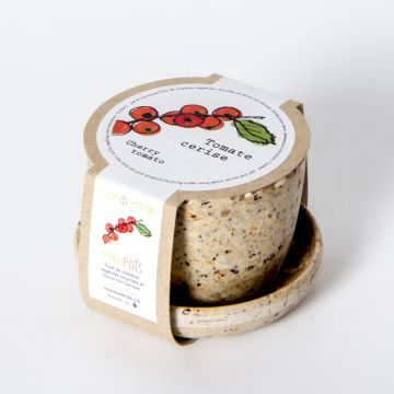 Minipot - Tomate cerise pot fibres café