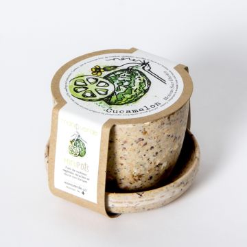 Minipot - Cucamelon pot fibres café