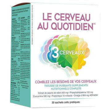 Le Cerveau au Quotidien
