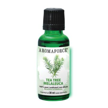 Huile essentielle 100% pure  -  Melaleuca