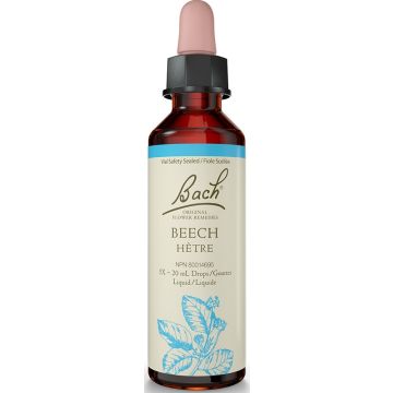 Fleur de Bach - Hêtre