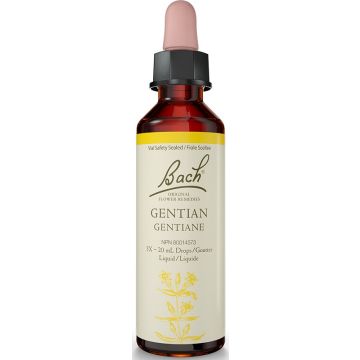 Fleur de Bach - Gentiane