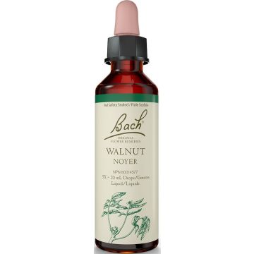Fleur de Bach - Noyer
