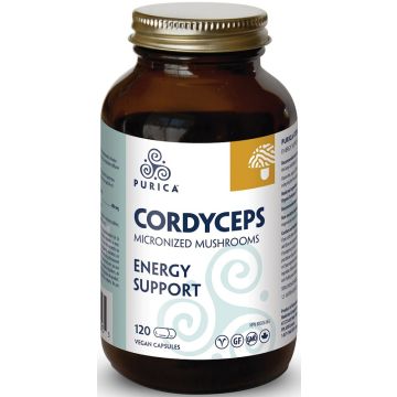 Cordyceps - Support d'énergie