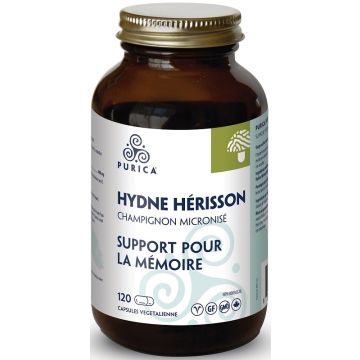 Hydne hérisson - Support pour la mémoire