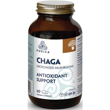 Chaga - Support antioxydant