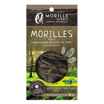 Champignon séché Morilles sauvages du Canada