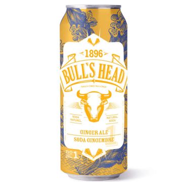 Soda naturel - Gingembre