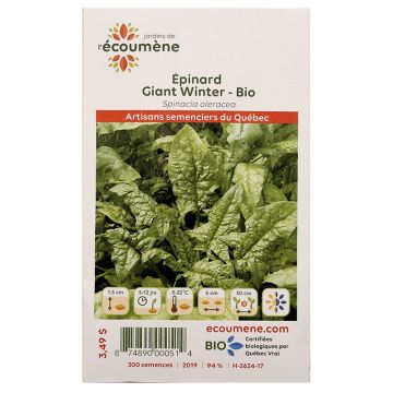 Laitues biologiques  - Épinard giant winter  