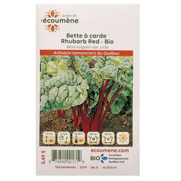Légumes biologiques  - Bette à carde rhubarb red  