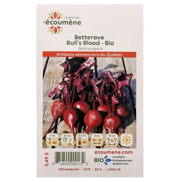 Organic seeds organic -  Bull's Blood Beets