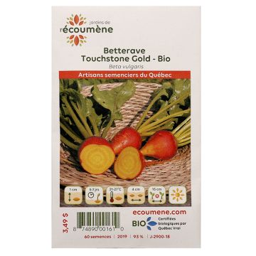 Légumes biologiques  – Betterave Touchstone Gold 