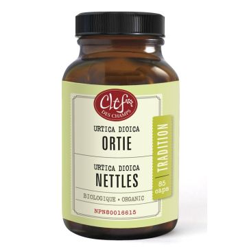 Ortie biologique