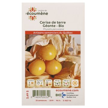 Vegetables organic -  Giant ground cherry