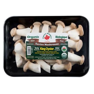 Champignons mini King Oyster biologiques  