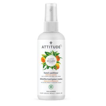 Hand Sanitizer - Orange Leaves