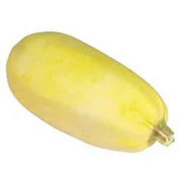 Courge biologique - Spaghetti