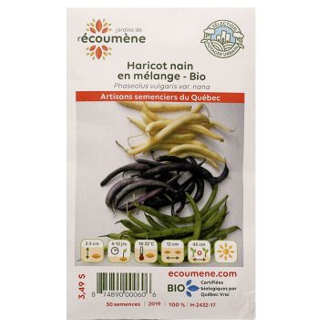 Semences biologiques - Haricot nain en mélange 