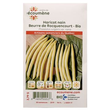 Légumes biologiques  - Haricot nain beurre de rocquencourt  