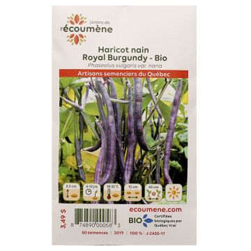 Légumes biologiques  - Haricot nain royal burgundy 