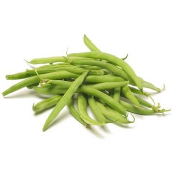 Haricot vert biologique