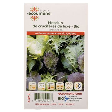 Laitues biologiques - Mesclun de crucifères de luxe 