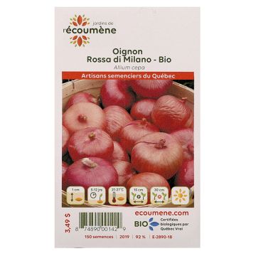 Légumes biologiques  - Oignon rossa di milano  