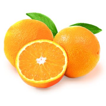 Orange Navel biologique 