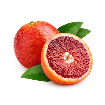 Oranges sanguines biologiques