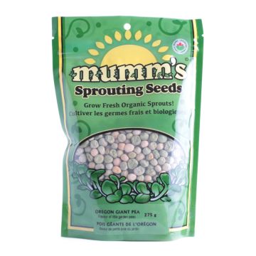 Graines à germer - Pois géants de l'Orégon