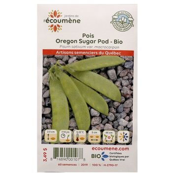 Semences biologiques - Pois des neiges oregon sugar pod  
