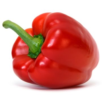 Poivron rouge biologique