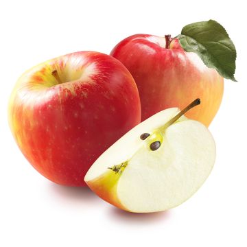 Pomme biologique Honeycrisp  