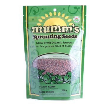Graines à germer - Radis daikon