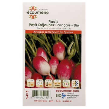 Radis biologiques -  Petit déjeuner français