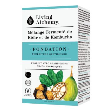 Mélange fermenté de kéfir et de kombucha - Fondation