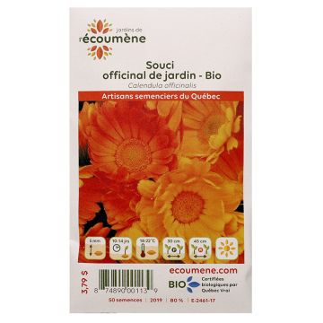 Herbacées biologiques - Souci officinal de jardin 