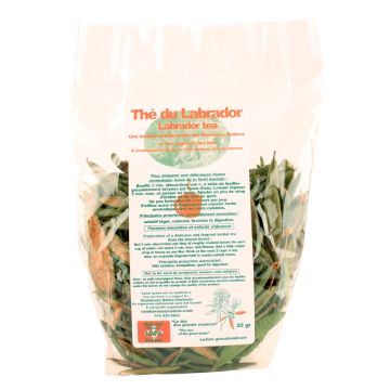 Randonnée Charlevoix - Labrador tea