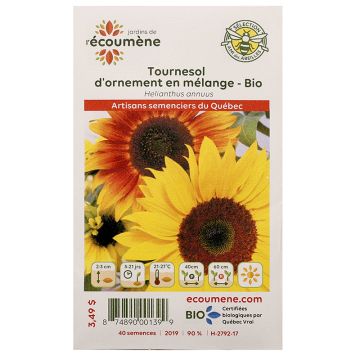 Herbacées biologiques  - Tournesol d'ornement en mélange 