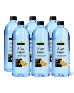 Eau de source naturelle gazéifiée  arôme citron biologique